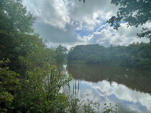 Photo 22- click for photo gallery